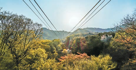 대구 도심 속 앞산은 케이블카를 타고 전망대까지 오를 수 있다. [사진 대구시]