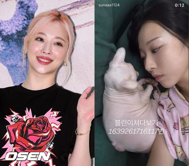 OSEN DB, 김선아 SNS