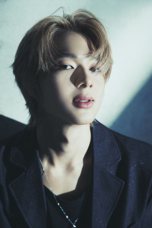 DOMUNDI 제공