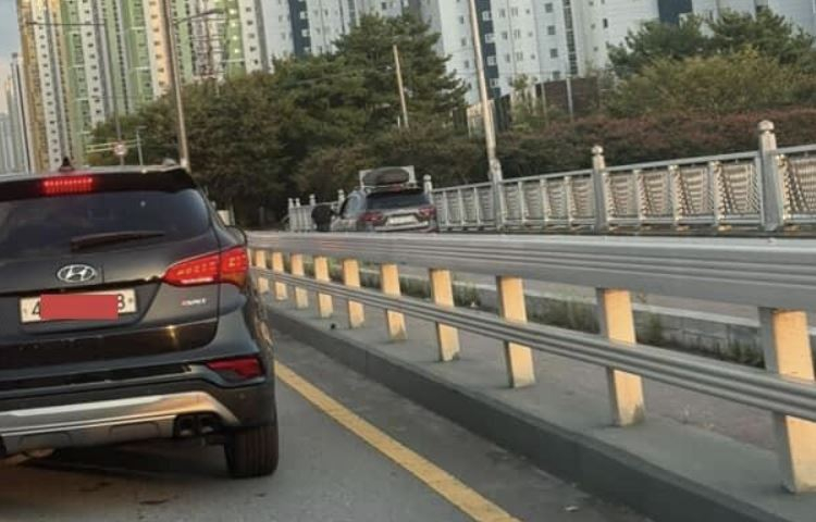 사진 보배드림 캡처
