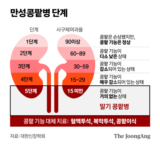 정근영 디자이너