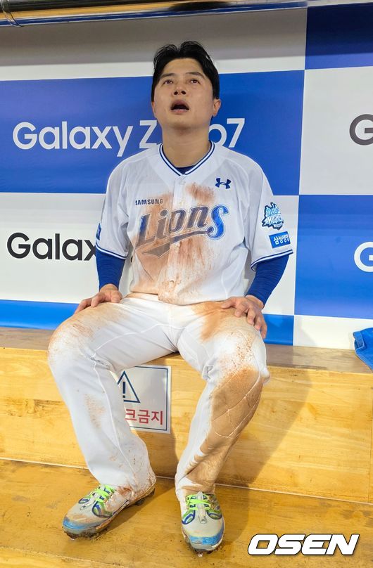 OSEN DB