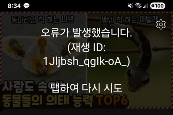 유튜브 오류. 화면 캡처