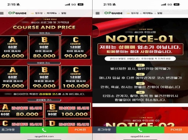 사진 서울경찰청 풍속범죄수사팀