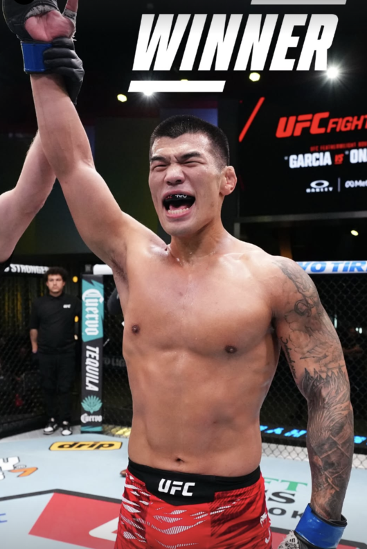 [사진] 로우 / UFC