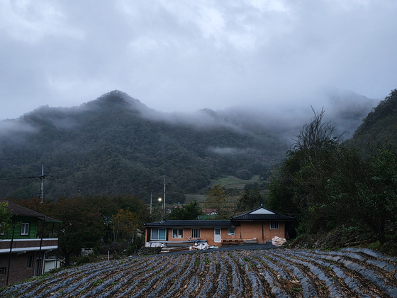 가을철 아침 동강에는 수시로 구름이 낀다. 어름치마을이 운해 속에서 깨어나고 있다. 