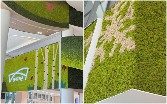 스칸디아모스는 공기 정화와 습도 조절, 소음을 줄여준다. 사진 이소진 기자