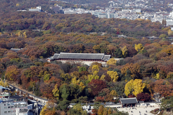 국가유산청이 올해 안으로 유네스코 세계유산 종묘 일대를 '세계유산지구'로 지정 고시와 관련 행정 절차를 마치고, 서울시에 세계유산영향평가를 요청할 계획이라고 밝혔다. 다만 서울시는 세운4구역이 종묘로부터 100m 이상 떨어져 있어 영향평가 대상이 될 수 없다는 입장을 고수하며 맞서고 있다. 사진은 서울 종로구 종묘 모습. 뉴스1