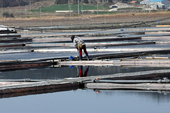 전남 신안군 한 염전의 모습. 위 사진은 기사 내용과 무관. 연합뉴스