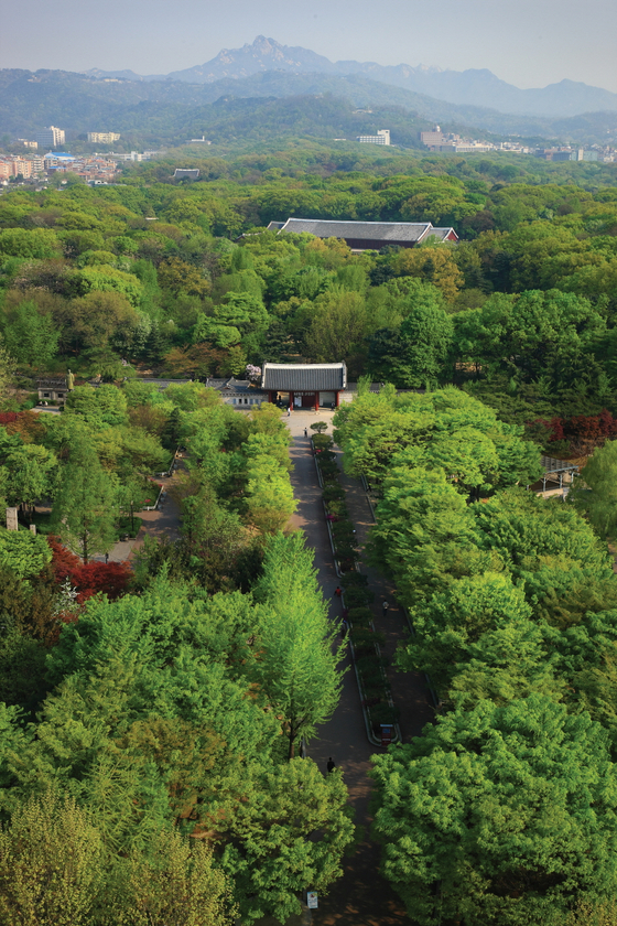 서울 세운 4구역의 초고층 재개발로 인해 경관 훼손 논란에 흽싸인 유네스코 세계유산 종묘의 전경. [사진 국가유산청]