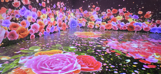 대전시 동구 추동에 있는 대청호 자연생태관의 디지털실감영상관. 대청호 주변에 피는 장미꽃을 중심으로 한 미디어 아트 영상을 볼 수 있다. 김방현 기자