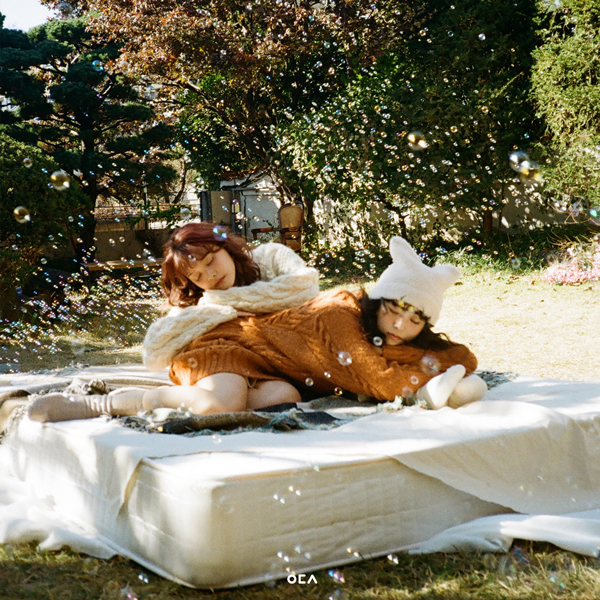 에이치오이엔티(HO ENT) 제공