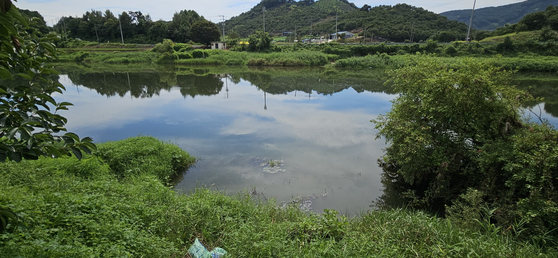 청양 지천. 김방현 기자