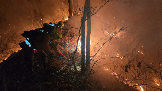 23일 새벽 강원 양양 서면 일대에서 발생한 산불 현장에서 진화대원이 야간 진화 작전을 펼치고 있다. 이번 산불은 22일 오후 6시 16분쯤 서면 서림리의 한 야산에서 시작됐다. 일몰로 헬기 투입해 불가한 가운데 당국은 장비와 인력 등 지상 자원을 총동원해 대응 중이다. 연합뉴스