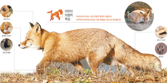 ☞ 클릭해서 크게 보세요. 