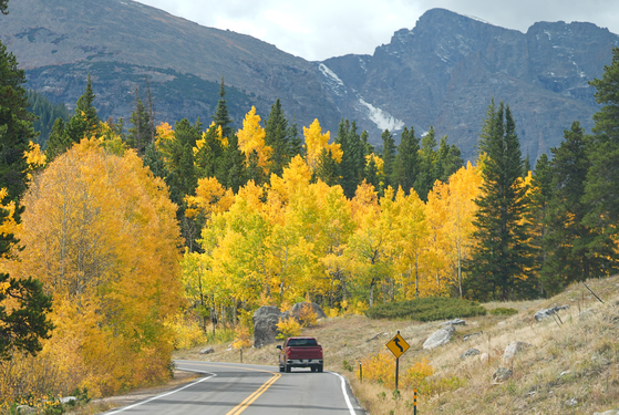 지난달 1월(연합뉴스) 미국 콜로라도주 에스테스 파크의 가을 단풍길 뒤로 로키마운틴 국립공원이 보이고 있다. AP=연합뉴스
