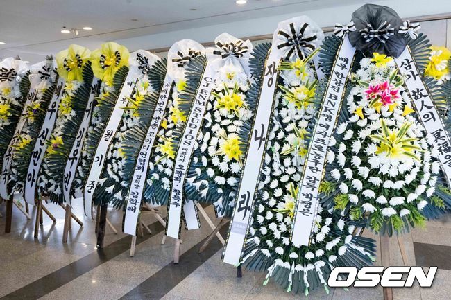 [OSEN=사진팀] 원로배우故 이순재의 의 빈소가 25일 서울아산병원 장례식장에 마련됐다.발인은 27일 오전 6시 20분, 장지는 경기 이천 에덴낙원이다.故 이순재는 국내 최고령 현역 배우로 70년 가까이 다양한 연극과 드라마, 영화, 예능을 넘나들며 활약했다. 최근까지 연극 '고도를 기다리며를 기다리며'와 KBS 2TV 드라마 '개소리' 출연하는 등 활동을 이어갔다.2025.11.25 / photo@osen.co.kr   <사진=사진공동취재단>