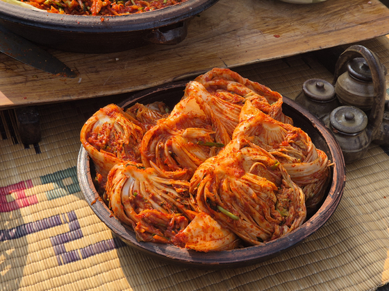 지난 20일 이하연 명인이 직접 담근 젓국지 김치의 모습. 전율 기자