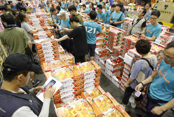 대구 북구 대구농수산물도매시장에서 중도매인들이 경매에 나온 복숭아를 살펴보고 있다. 중앙포토