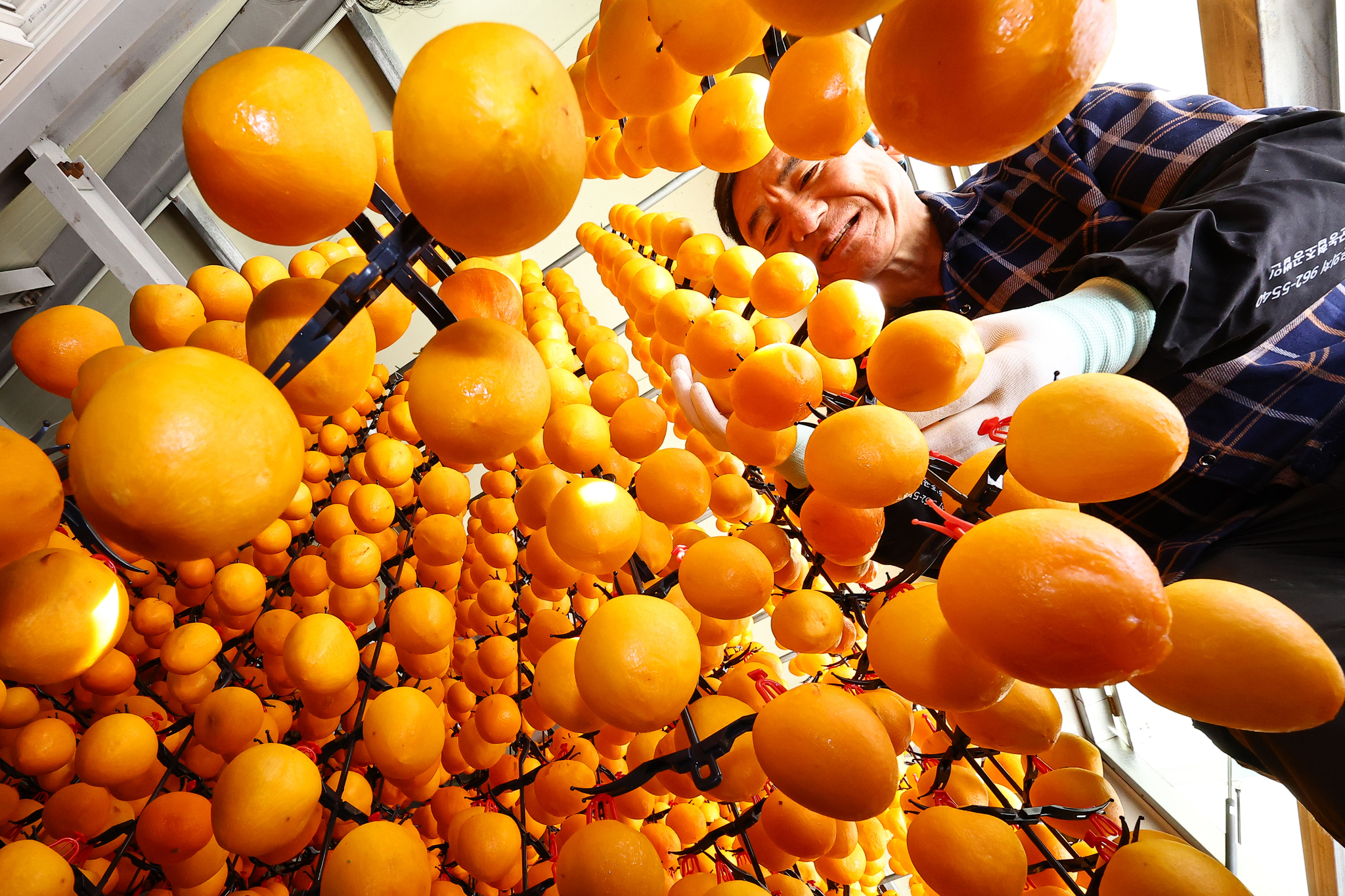 곶감은 비타민 A, B, C가 풍부하고 펙틴(pectin)과 카로티노이드(carotenoid)가 함유되어 있어 성인병 예방에 좋다고 알려져 있다. 