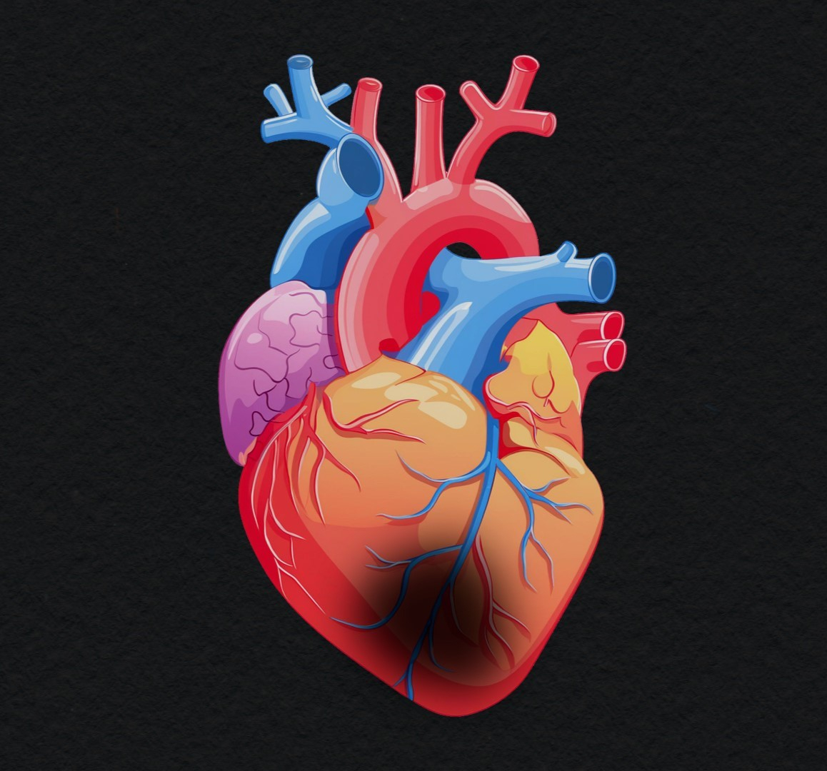 심근경색은 심장 근육에 혈액과 영양, 산소를 공급하는 관상동맥이 막히면서 그 아래쪽 심장 근육이 썩어들어가는 병이다. 죽을 위험이 매우 높고, 발빠르게 조치하지 않으면 회복도 어렵다.