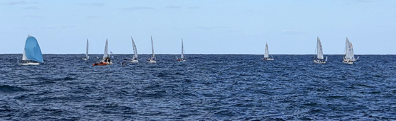 지난 28일 오후 제주시 도두항 요트부두 인근 해역에서 제1회 제주컵 국제요트대회에 참가한 7개국 선수들이 기량을 겨루고 있다. 최충일 기자