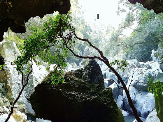 제주도가 겨울 여행주간 웰니스 할인을 진행한다. 위 사진은 산림치유가 가능한 머체왓숲길. [사진 제주관광공사]