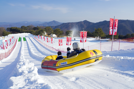 비발디파크 스노위랜드 눈썰매장의 4~6명 함께 타는 래프팅 썰매. 백종현 기자 