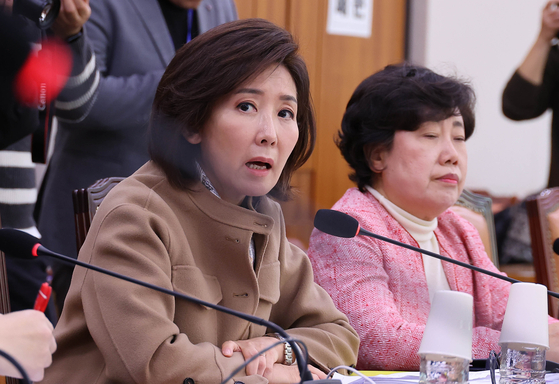 나경원 국민의힘 의원이 1일 국회에서 열린 법제사법위원회 소위원회에서 발언하고 있다. 임현동 기자