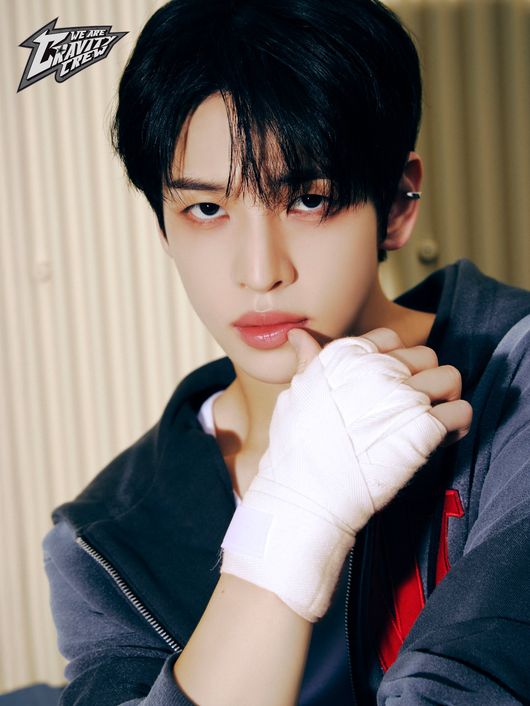 스타쉽엔터테인먼트 제공