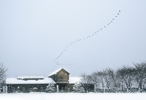 상하농원이 겨울 시즌 ‘딸기 농부 체험’과 ‘겨울상하사진 공모전’을 운영한다. 사진 매일유업