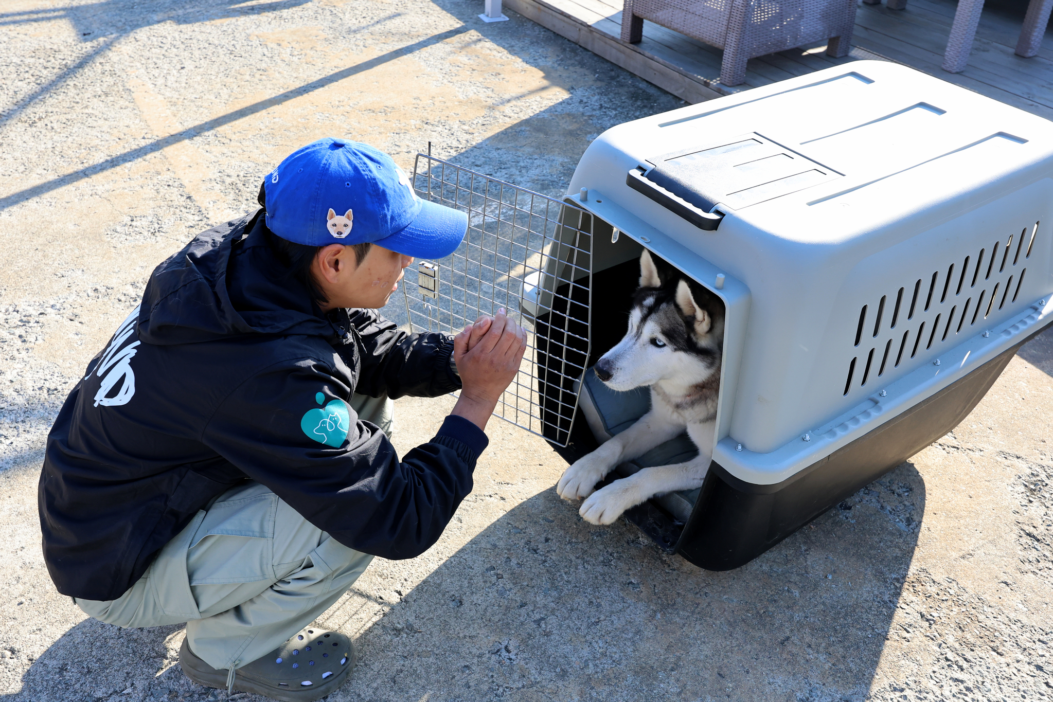 송대표가 캐나다 입양이 확정된 라우와 캔넬 교육을 하고 있다. 장진영 기자