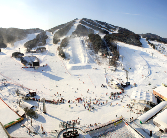 강원도 횡성군에 있는 웰리힐리파크스노우파크 모습. [사진 웰리힐리파크]