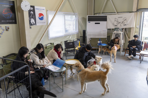 대부분의 아이들은 방문객들에게 스스럼없이 다가가 조용히 옆에 자리한다. 장진영 기자