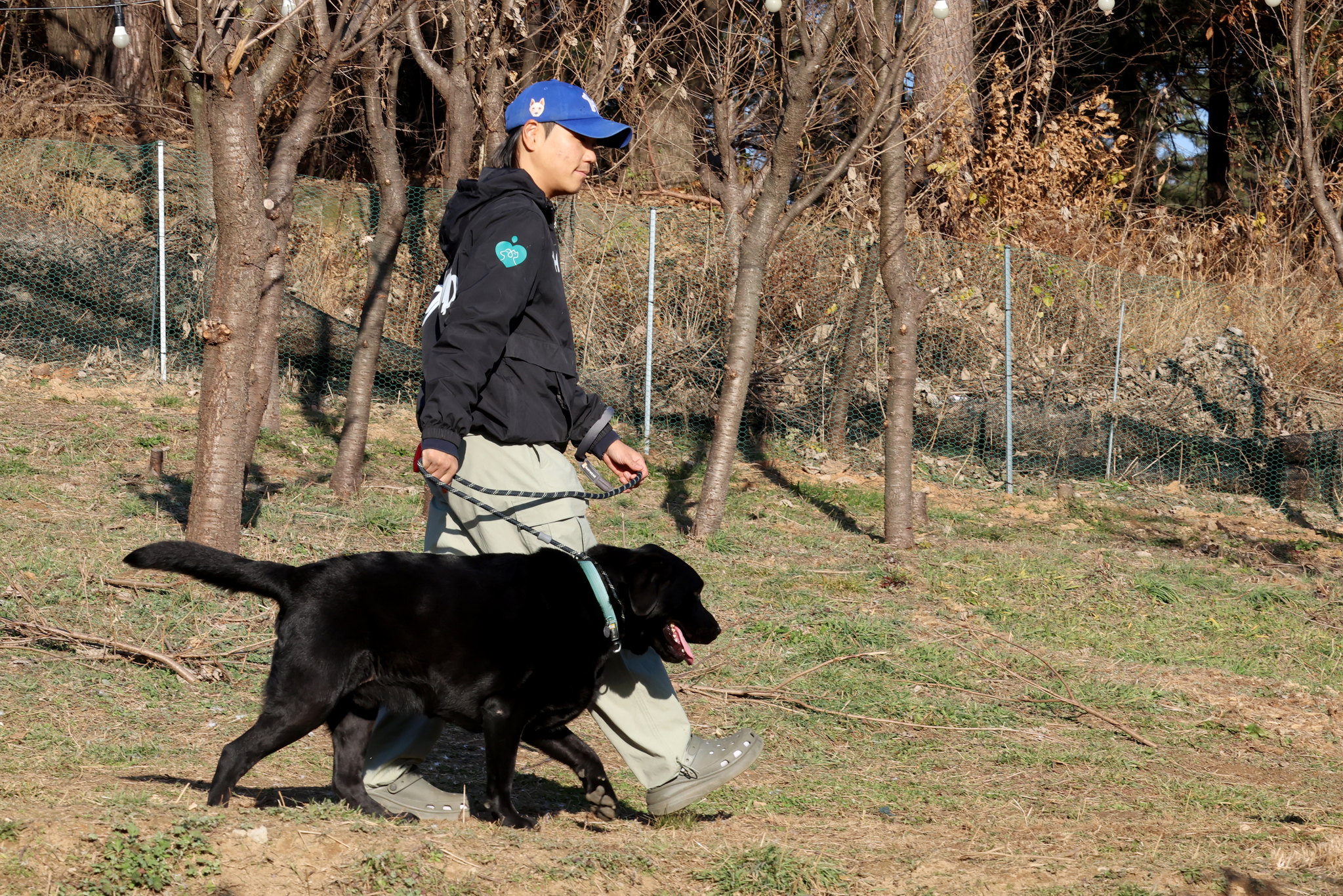 송 대표가 레만이와 1:1 산책 교육을 하고 있다. 이곳의 아이들은 반려견으로서의 생활 태도 등을 교육 받는다. 장진영 기자