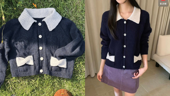 뜨개 도안 작가 C씨가 디자인한 가디건(왼쪽)과 해외 쇼핑몰에서 판매되고 있는 가디건(오른쪽) 사진. 사진 C씨