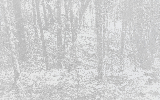 신경철, T-HERE-WSP202402, 2024, Acrylic & Pencil on linen, 162.1x259.1㎝. [사진 리안갤러리]