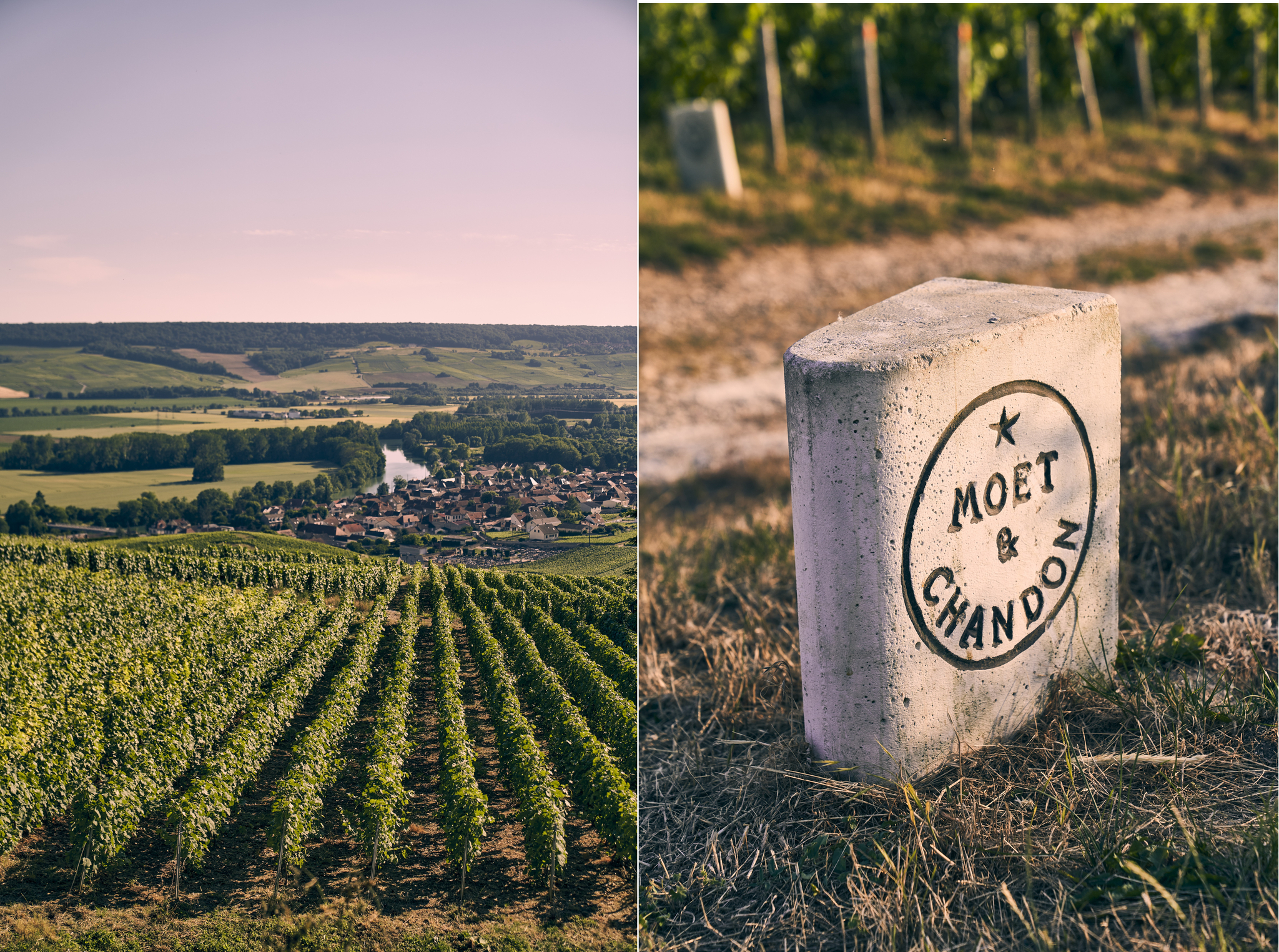 상파뉴 지역 전체 포도밭의 3.5%를 차지하고 있는 모엣 & 샹동 하우스. 사진 모엣헤네시 코리아