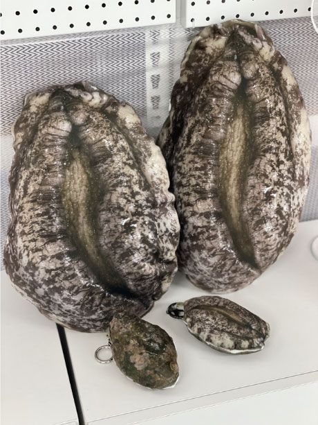 전복 쿠션과 전복 키링. 사진 고향사랑e음 홈페이지 캡처