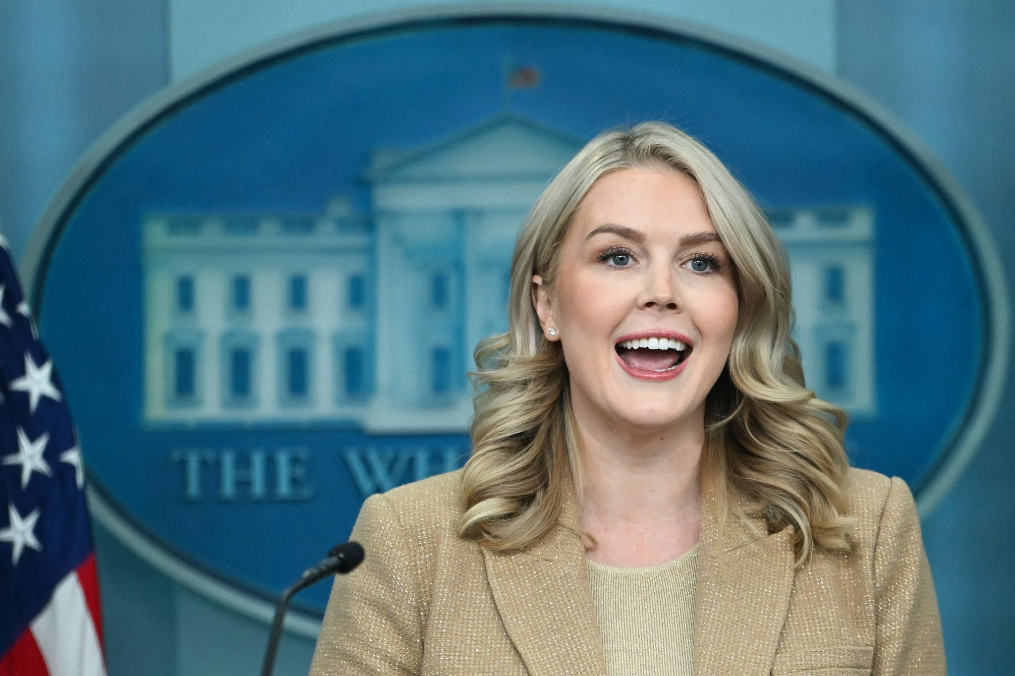 캐럴라인 레빗 미국 백악관 대변인. AFP=연합뉴스