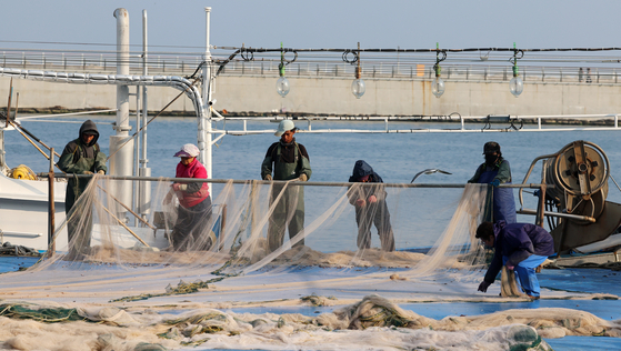 지난 10일 강원 강릉시 주문진항에서 어민들이 겨울철 동해안 특산물인 도루묵과 양미리를 잡기 위해 그물을 손질하느라 바쁜 모습이다. [연합뉴스]