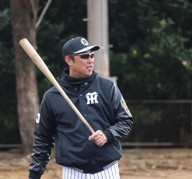 한신 타이거즈 제공