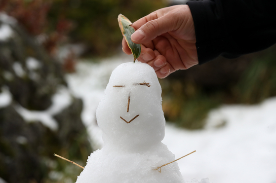 제주 한라산 1100고지에서 한 관광객이 눈사람을 만들고 있다. 뉴시스