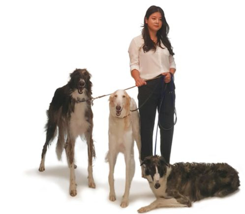 반려견 날루(둘째)·헤일리(첫째)·헤이즐과 서지형 동물 트레이너가 프로필 사진 촬영을 위해 포즈를 취했다. 한 반려견 카페에서 처음 보르조이 견종을 보고 반한 지형씨는 2013년생 첫째 헤일리부터 날루·헤이즐을 차례로 데려왔다.