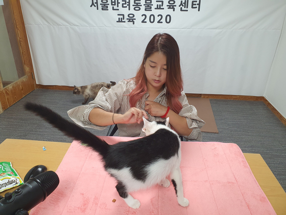 지형씨는 2020년 9월 서울 반려동물 시민학교에서 고양이 클리커 트레이닝(긍정강화 교육)에 대해 강의했다.