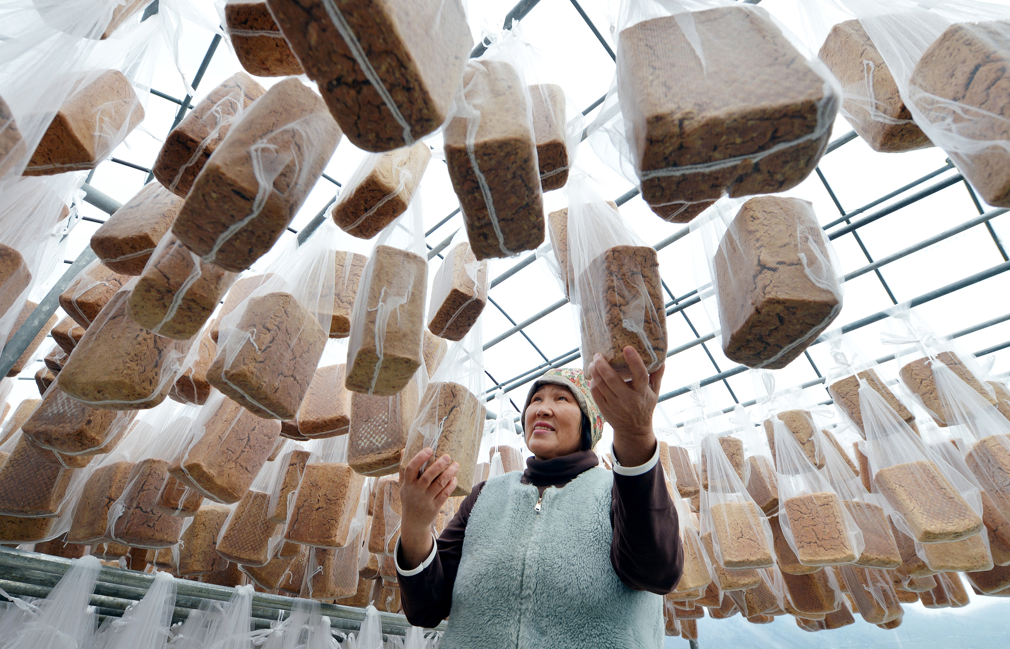 김성태 객원기자