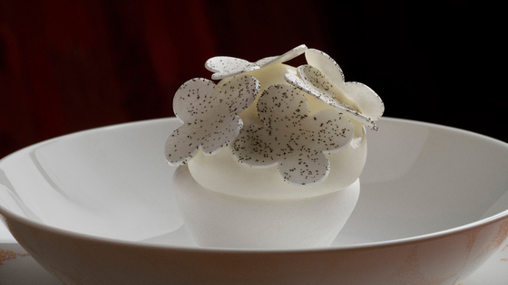 쌀 아이스크림. 사진 루이 비통 