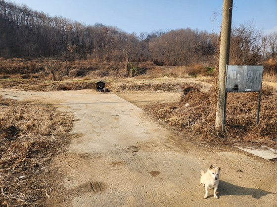 지난 17일 경북 안동시 임하면 괴와구려 고택이 산불 피해로 흔적도 없이 사라진 모습. 김정석 기자