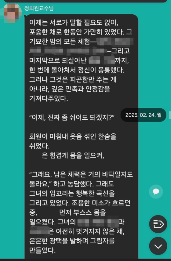 정 대표가 A씨에게 보낸 카카오톡 메시지 일부. 해당 메시지에는 특정한 성적 취향을 암시하는 도구나 용어가 언급되어 있었다. 사진 A씨