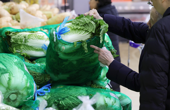 24일 서울 시내 한 대형마트에서 시민들이 배추를 살펴보고 있다. 뉴시스